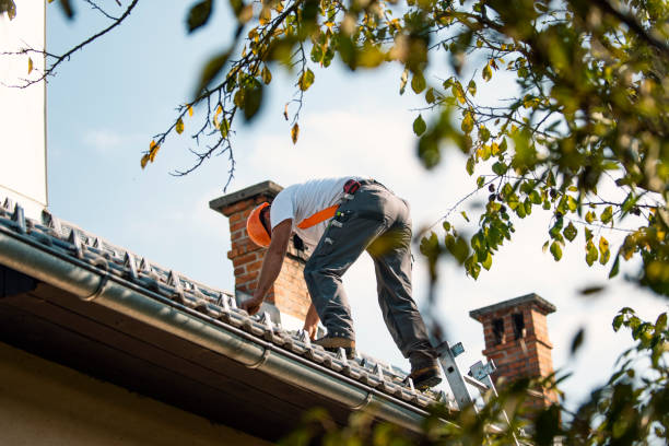Best Storm Damage Roof Repair  in Walled Lake, MI