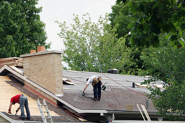 Best Metal Roofing Contractor  in Walled Lake, MI